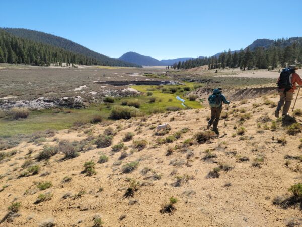 Photos provided by Jessica Strickland, California Inland Trout Program Director at Trout Unlimited