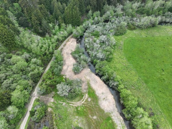 Site of the alcove and tidal wetland complex prior to implementation in April 2024. Credit: PCI Ecological