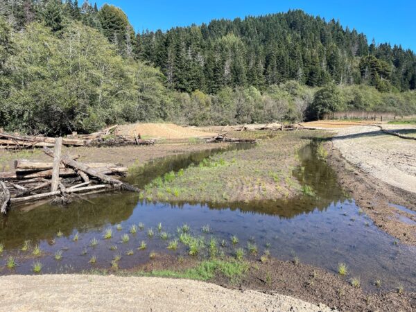 Completed tidal wetland complex in September 2024. Credit: TNC