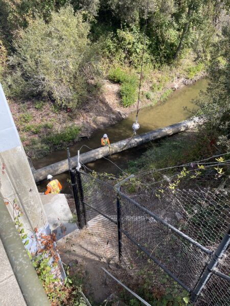 During dewatering. Photo provided by Creek Lands Conservation.