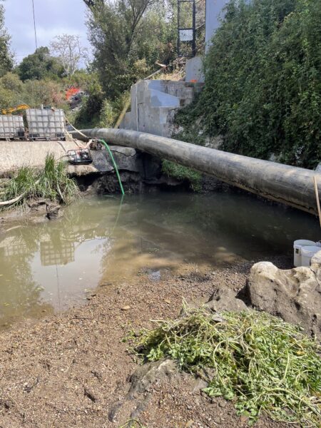 During dewatering. Photo provided by Creek Lands Conservation.