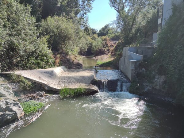 BEFORE - Looking upstream. Photo provided by Creek Lands Conservation.